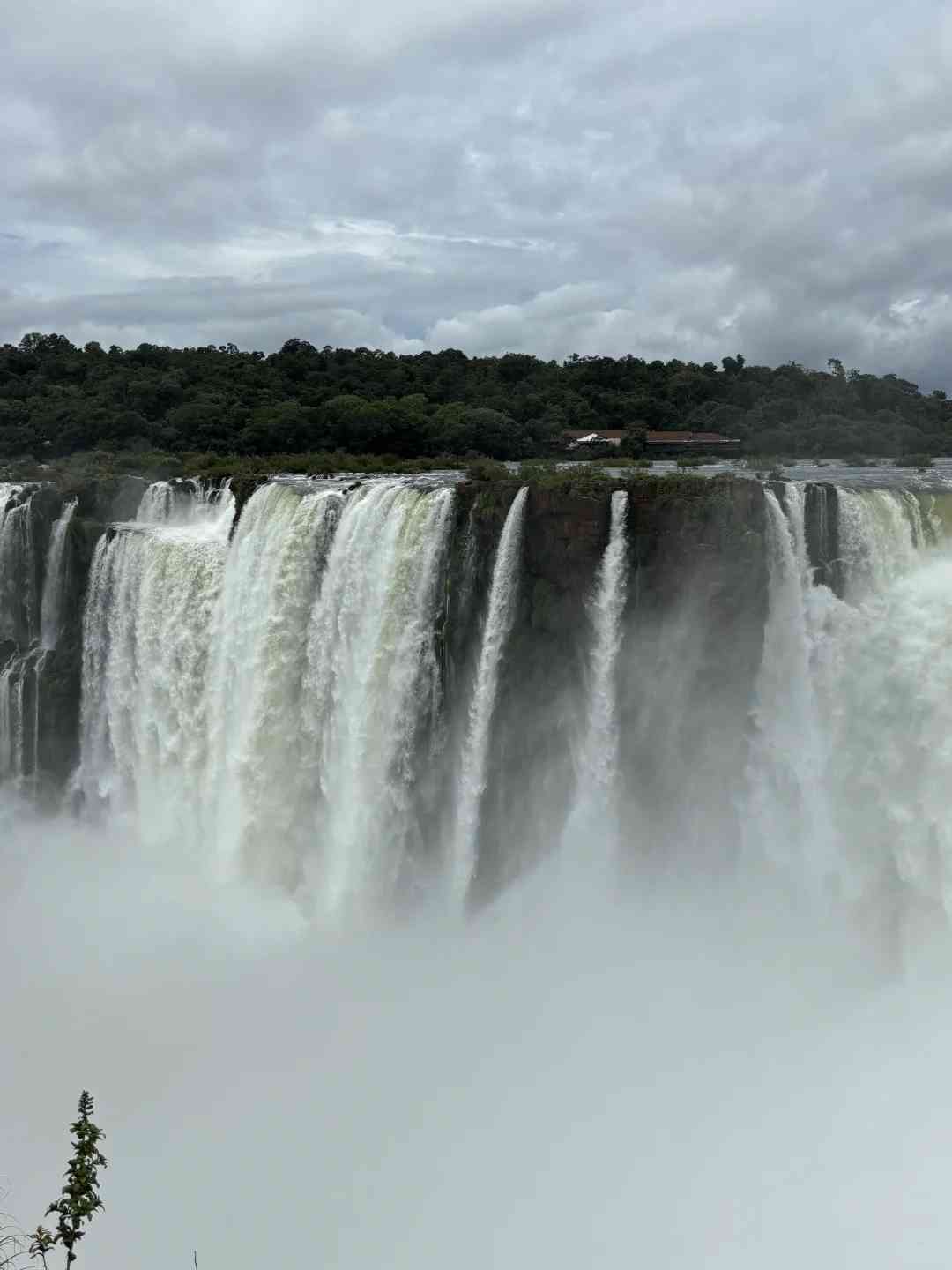 Misled by Xiaohongshu: The Truth About Iguazu Falls Travel Tips