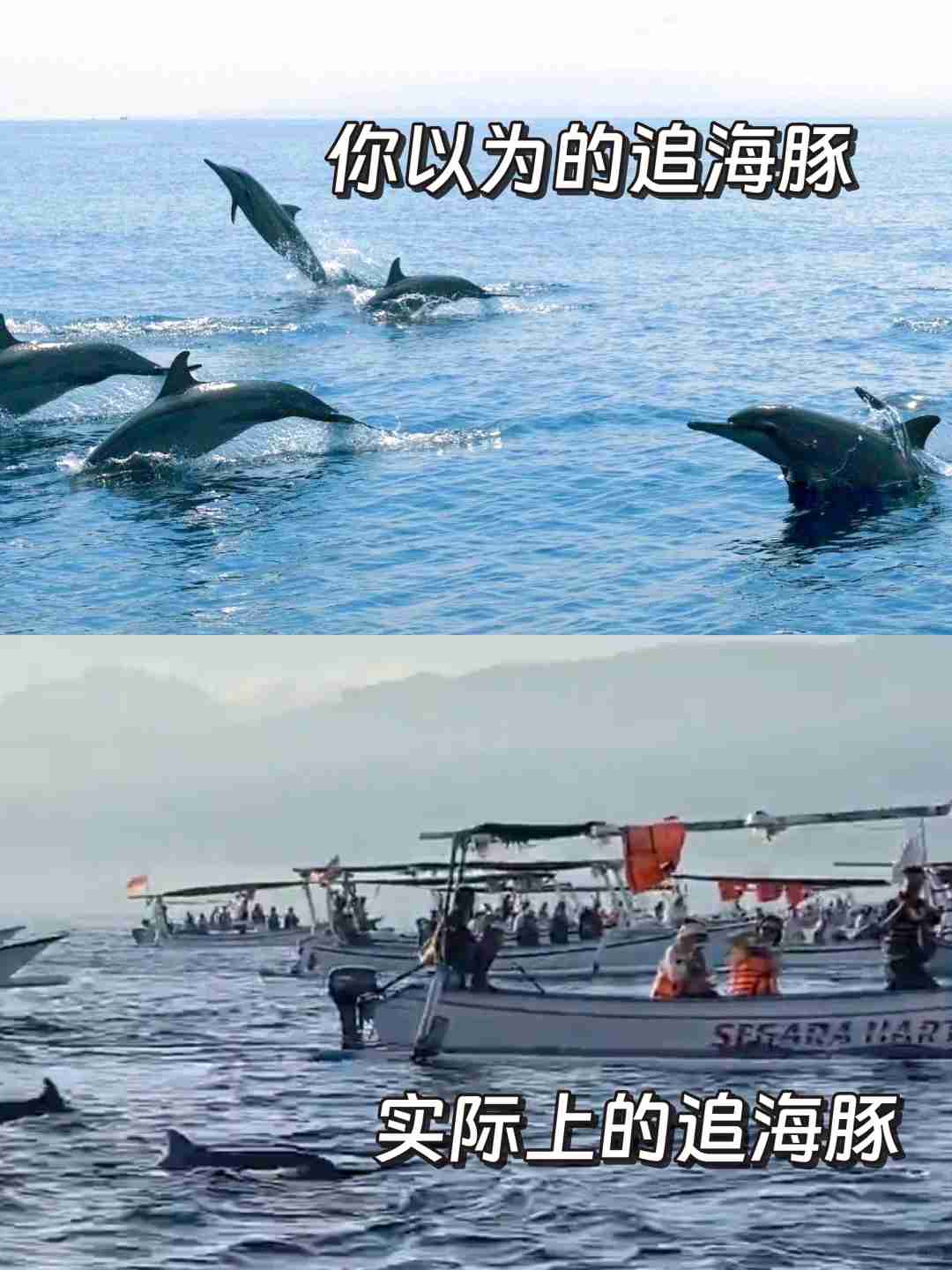 تجربة السفر إلى جبل بromo: هل كانت تستحق كل هذا الترويج؟ 🌋