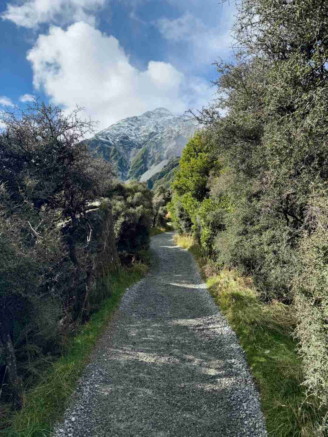 Trilhas em Mount Cook: Descubra Trilhas Cênicas e Tesouros Escondidos