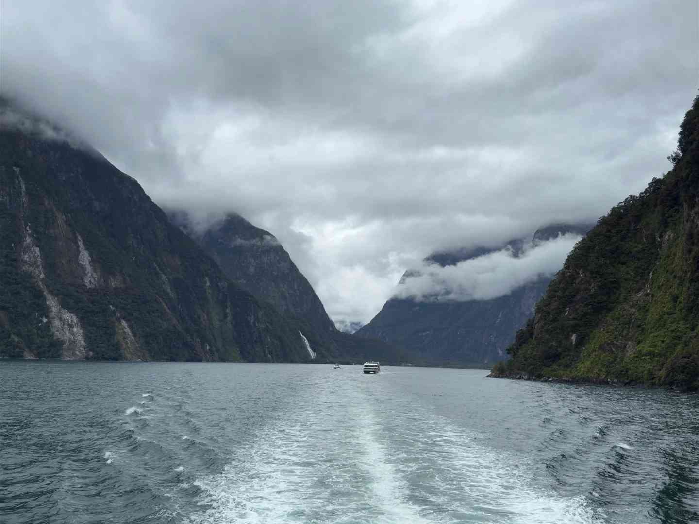 NZ Travel Log Day 8: Milford Sound Scenic Cruise Adventure