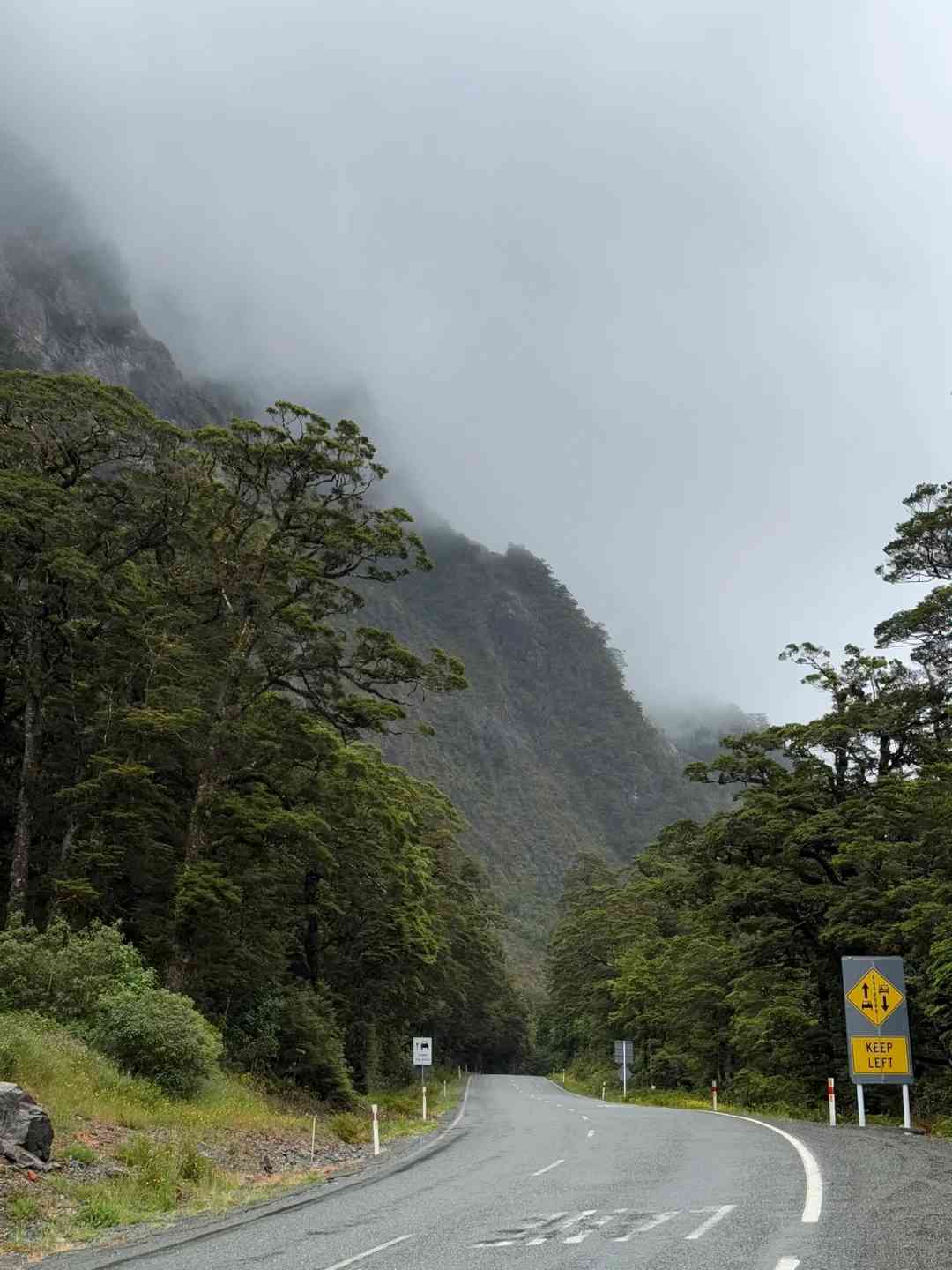 NZ Travel Log Day 8: Milford Sound Scenic Cruise Adventure