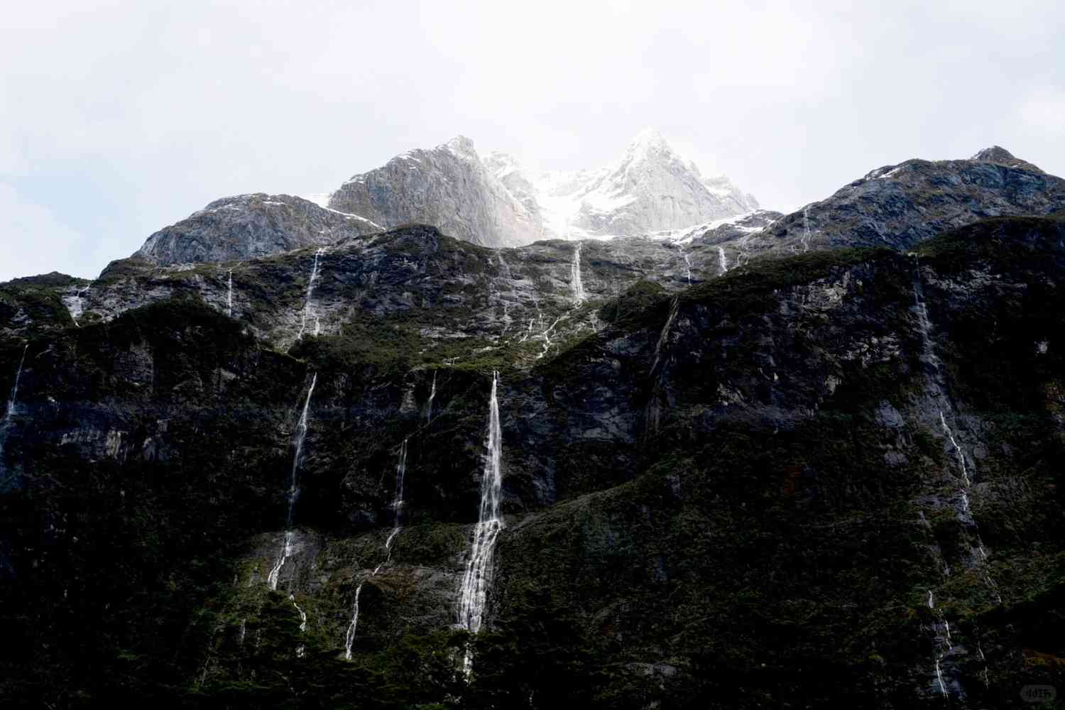 NZD6 Travel Tip: Why Visiting Milford Sound is a Must-Do, Not to Avoid