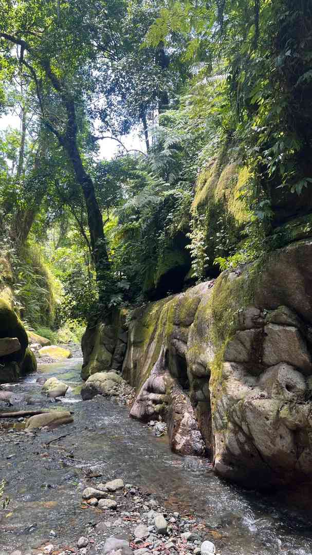 Napuru Falls: Discover the Hidden Beauty & Best Hiking Trails in 2025