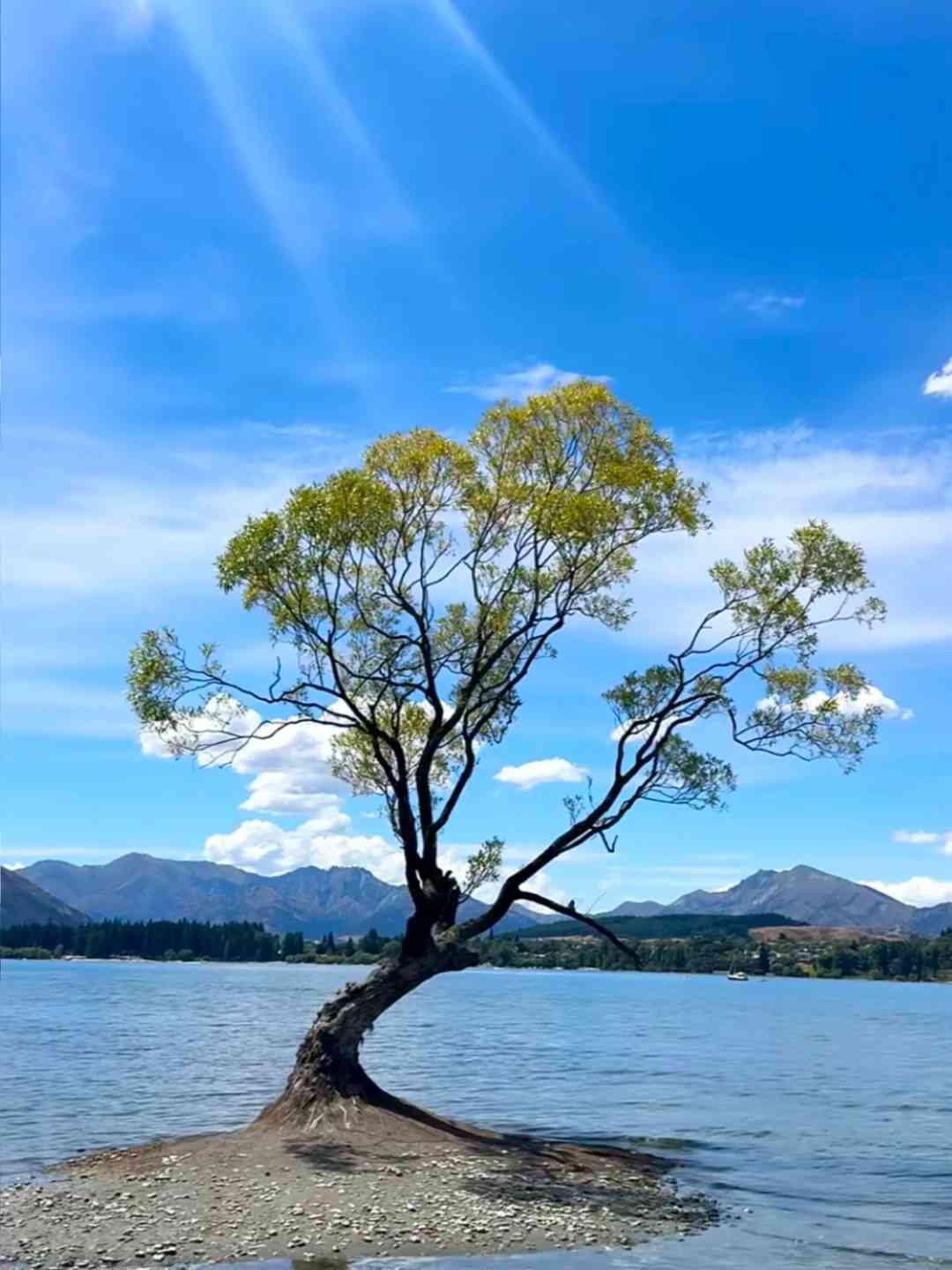 New Zealand Travel Returns: Essential Tips for Joining Groups Safely and Wisely