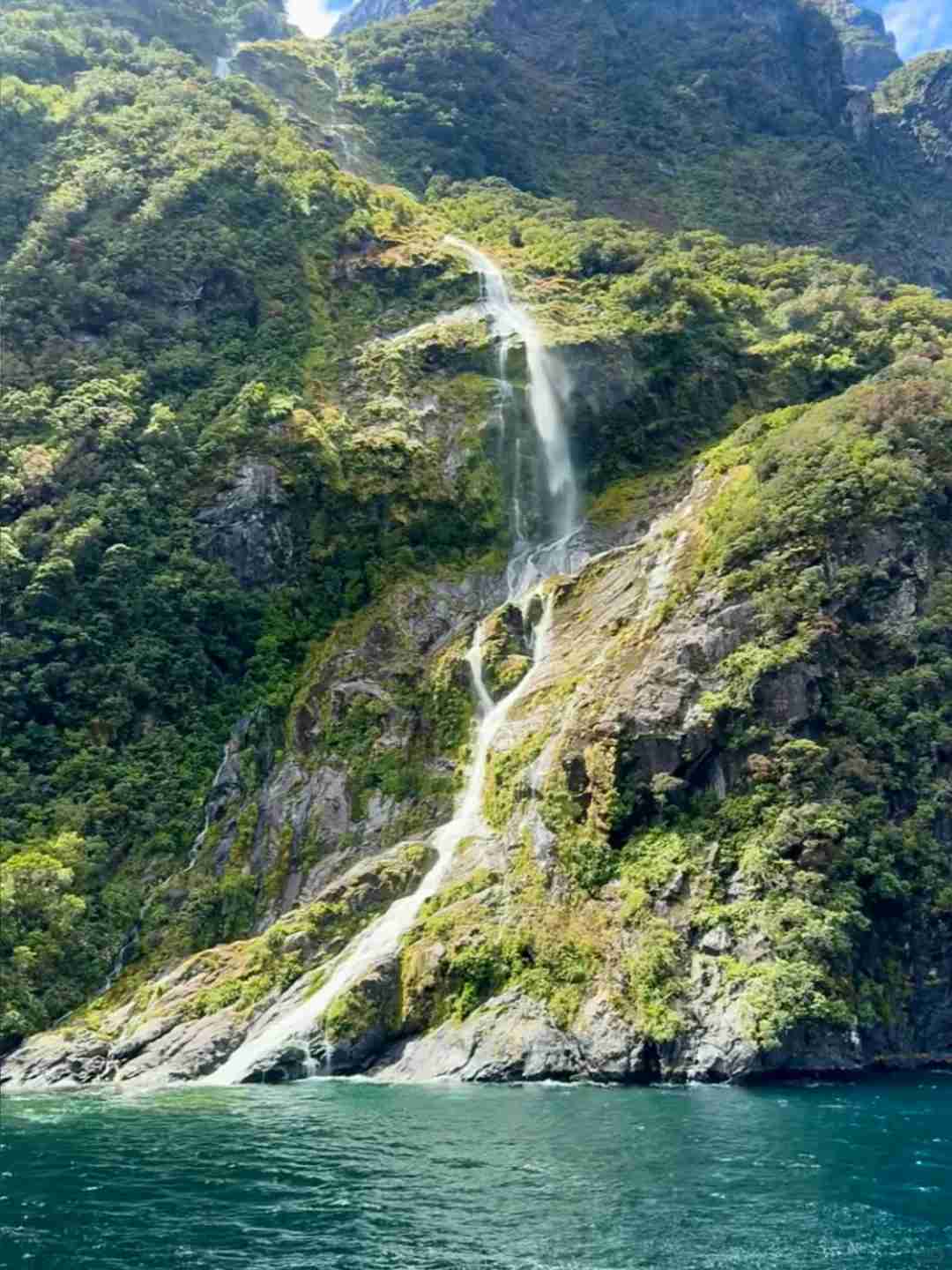 New Zealand Travel Returns: Essential Tips for Joining Groups Safely and Wisely