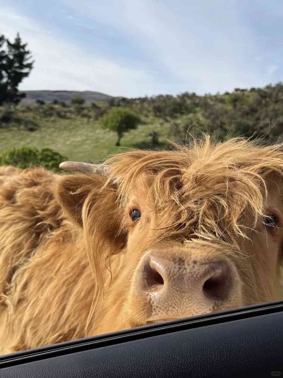 New Zealand Trip Recap: Essential Tips to Avoid Travel Agency Pitfalls for Your Sisters