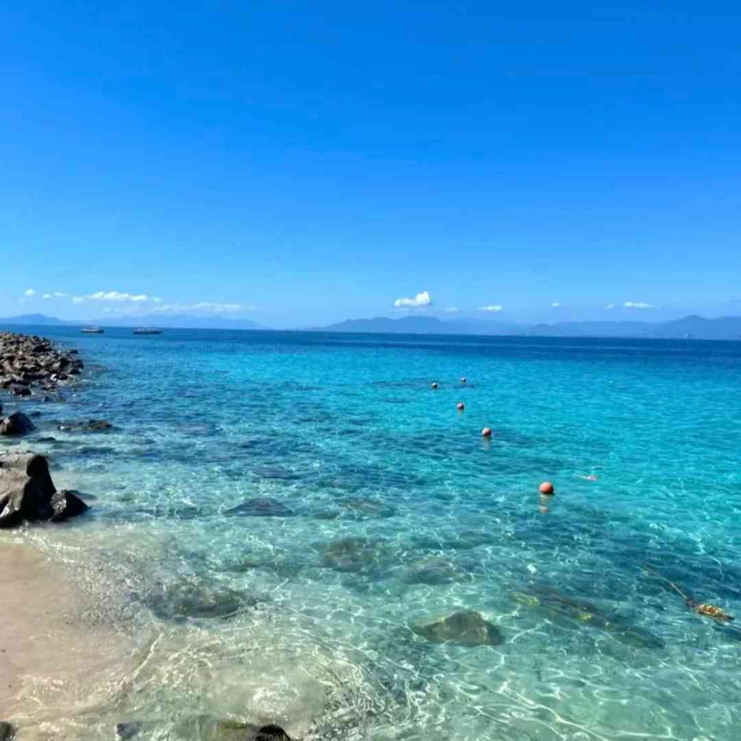 Nha Trang Travel Tips: Group Tours vs Independent Trips – Lessons & Insights 😭