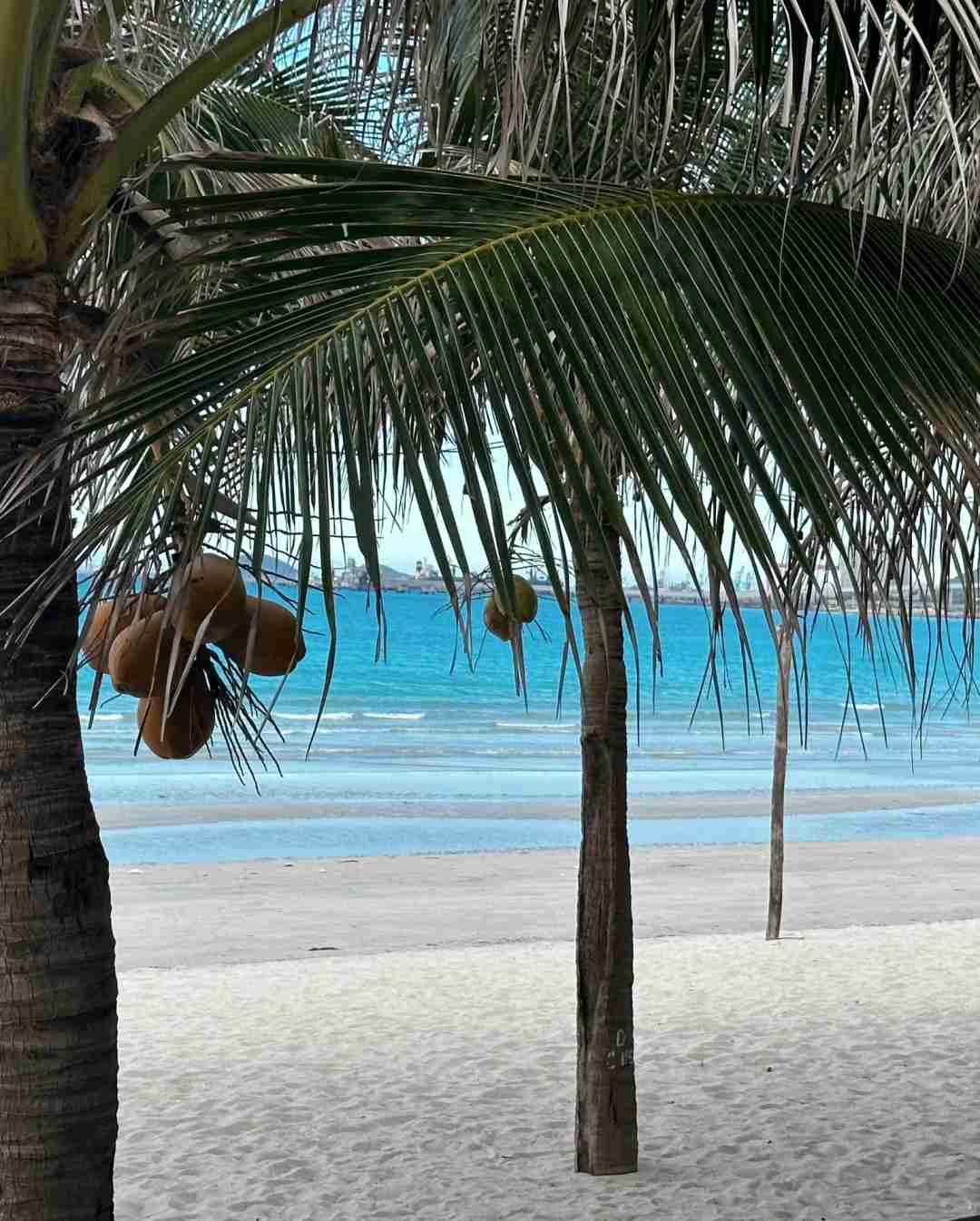 Nha Trang🌴 Summer Getaway: Best Seaside Activities & Relaxation Spots