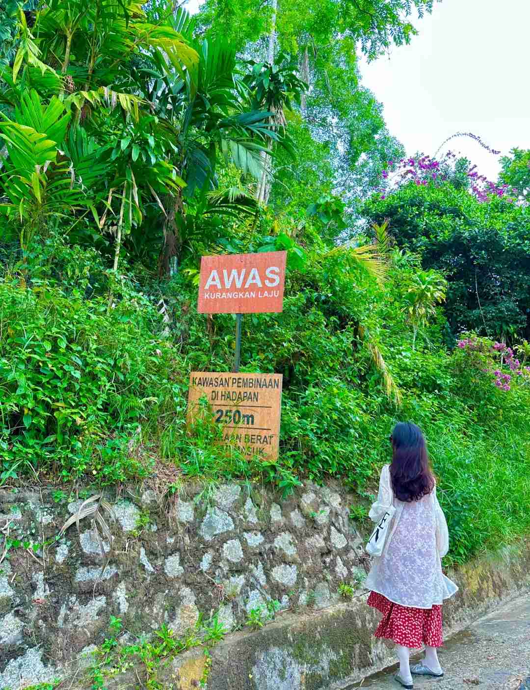 Penang Georgetown & Hill: Discover Healing Scenic Walks and Nature Trails 🛤️🌳💕