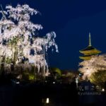 Perfect 7-Day Kyoto Itinerary: Best Cherry Blossom Spots & Must-See Attractions (March 31 – April 6)