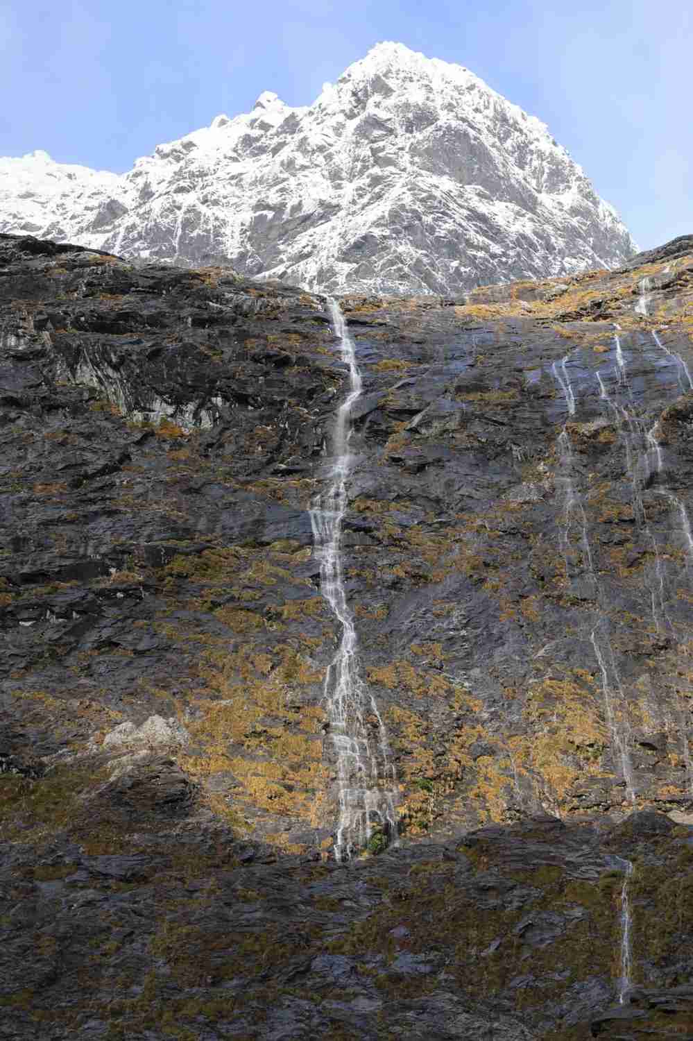 Queenstown à Milford Sound : Guide de voyage ultime et conseils