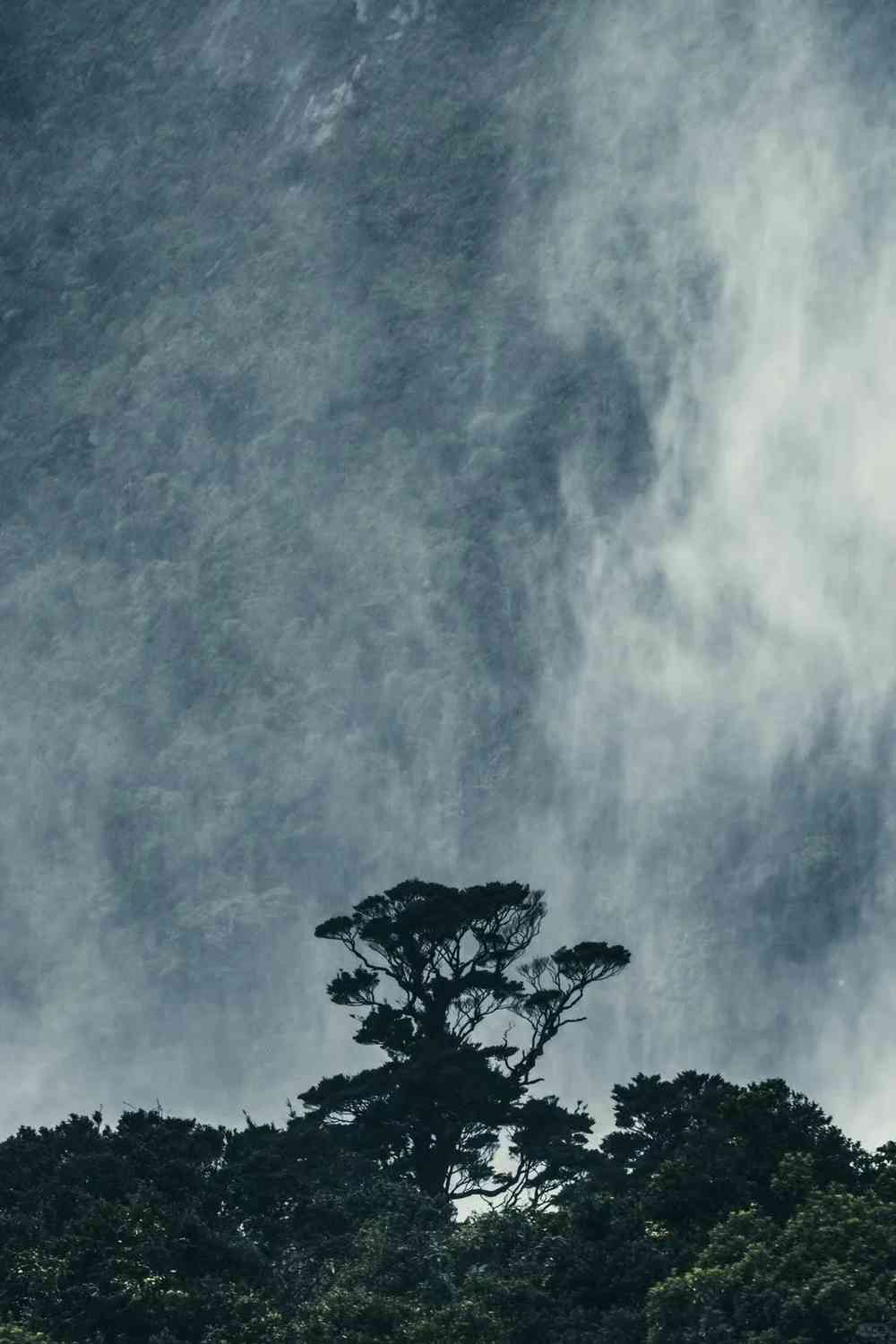 Rainy vs Sunny Day at Milford Sound: Which Offers the Best Experience?