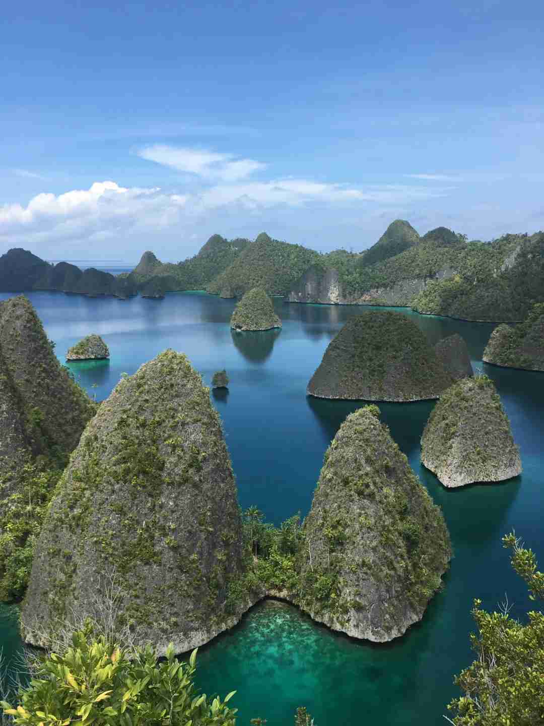 Raja Ampat Island Hopping & Snorkeling: Explore Paradise Before It Disappears