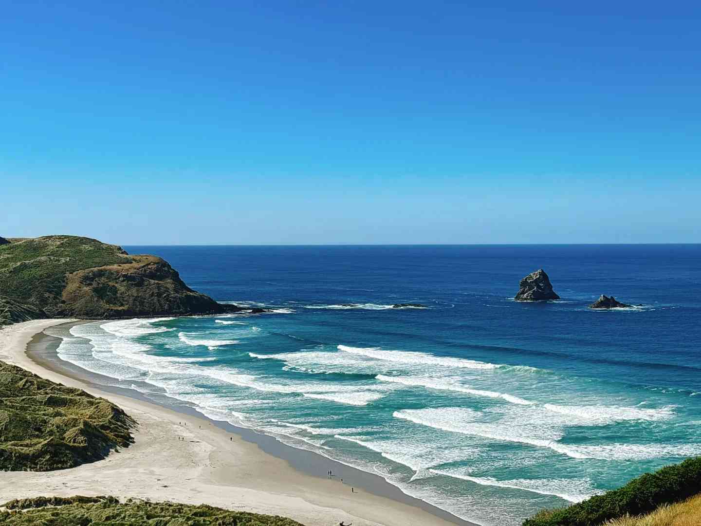 Südinsel Roadtrip Tag 9: Dunedin nach Oamarus atemberaubende Küstenszenerie