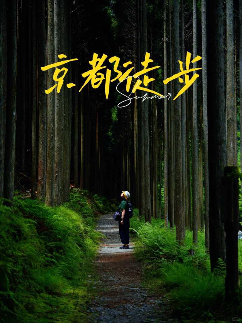 Stunning Arashiyama Bamboo Forest Photos: Capturing Kyoto's Best Scenic Moments