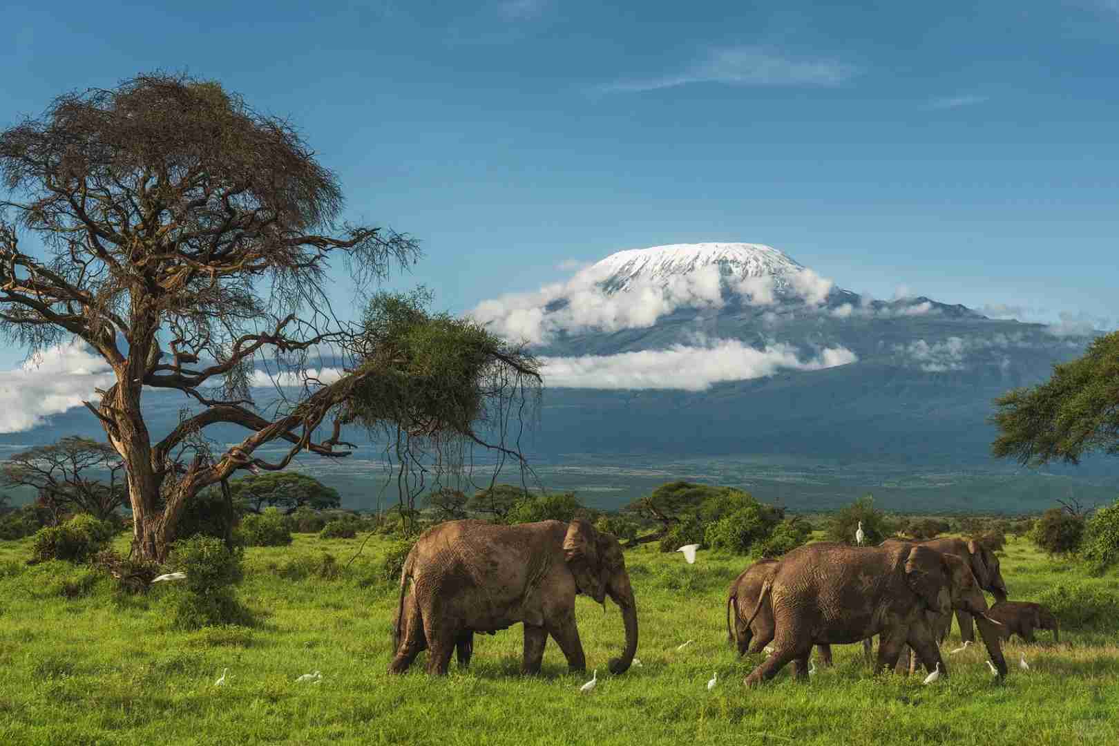 Stunning Kilimanjaro Sunrise Views: Best Early Morning Hiking Tips & Photos