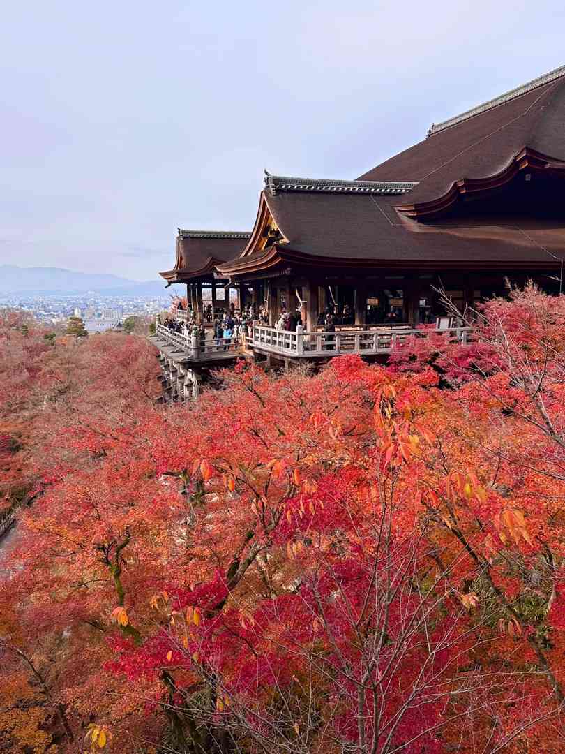 Stunning Live Photos from Japan: My Unforgettable Travel Photography Journey 🇯🇵
