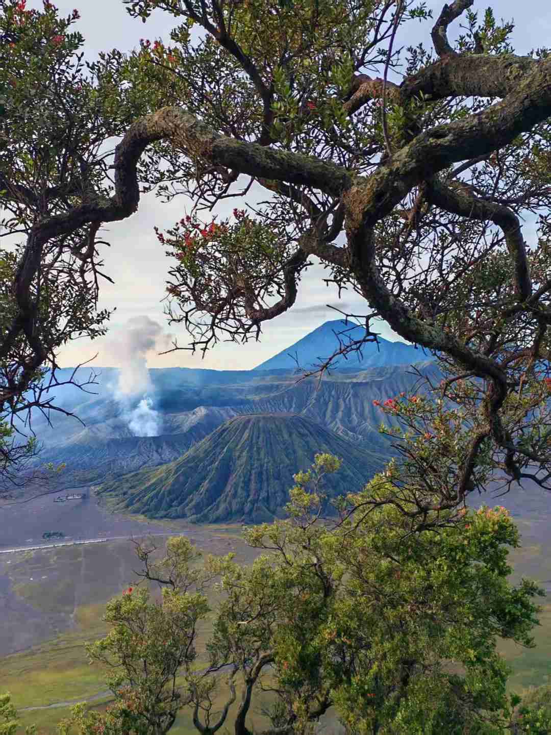 Erfolgreicher Bromo-Vulkan-Nachtwanderung: Ein aufregendes Abenteuererlebnis