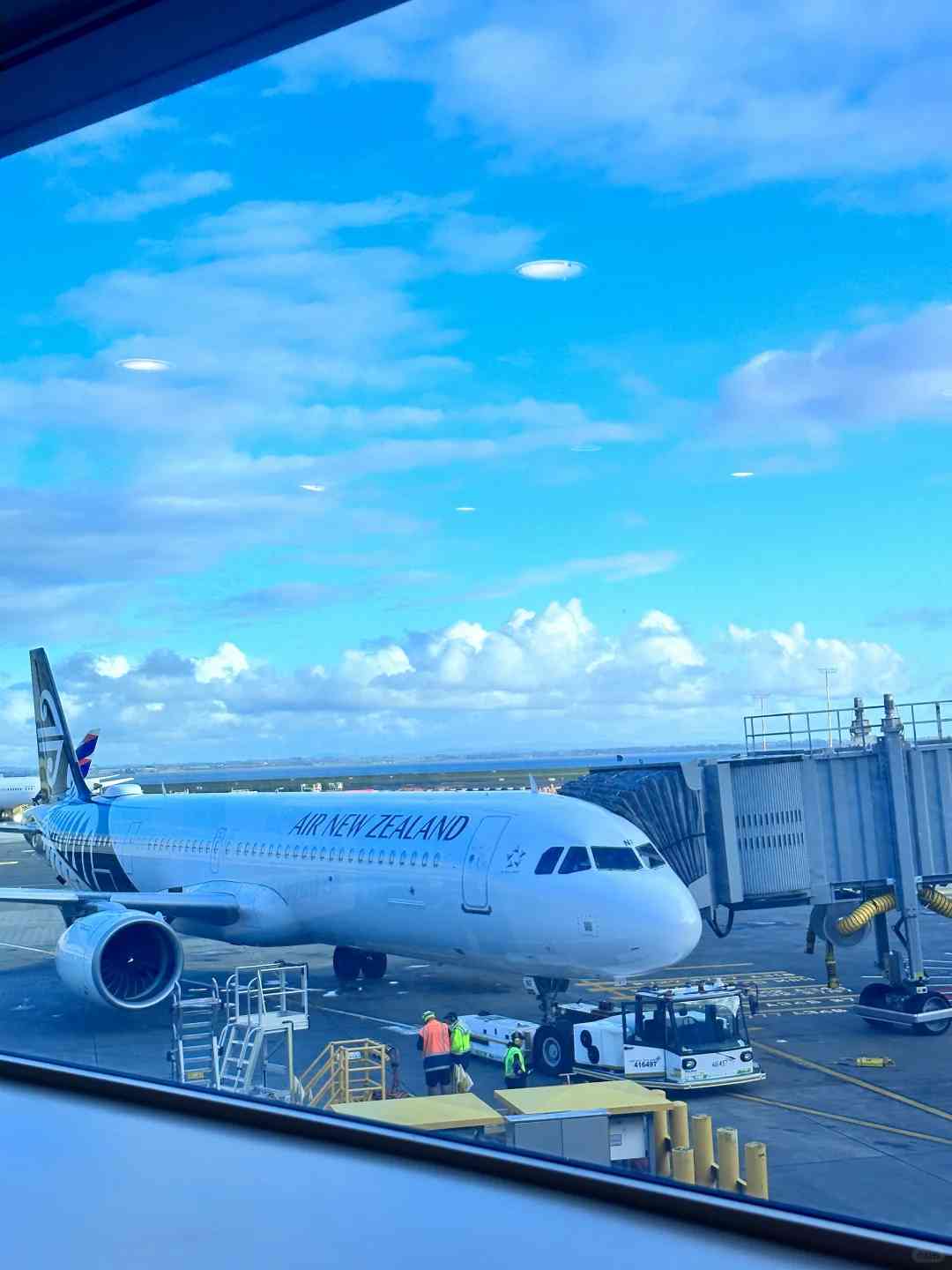 Successfully Entered New Zealand: Essential Tips for Smooth Travel Entry