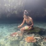 Swim with Sea Turtles in Zanzibar – Unforgettable $12 Ocean Adventure Experience