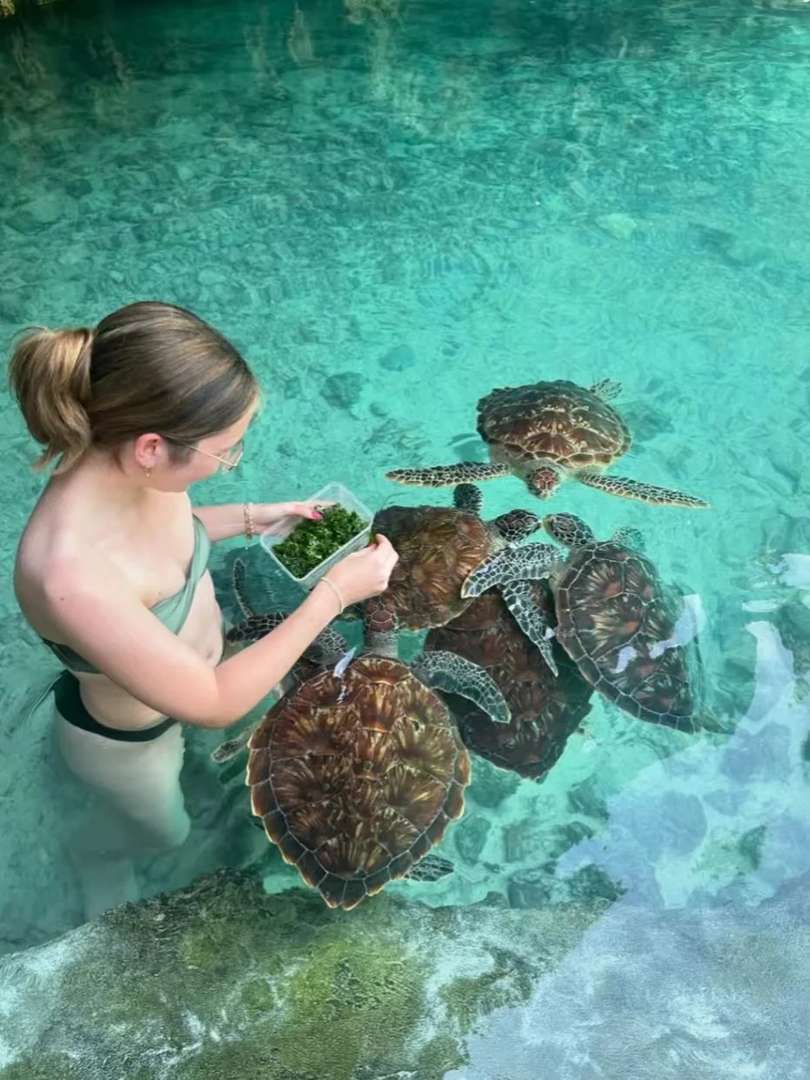 ザンジバルでウミガメと一緒に泳ぐ：タンザニアの魔法のジェリーフィッシュ・シー・ケイブを探索しよう