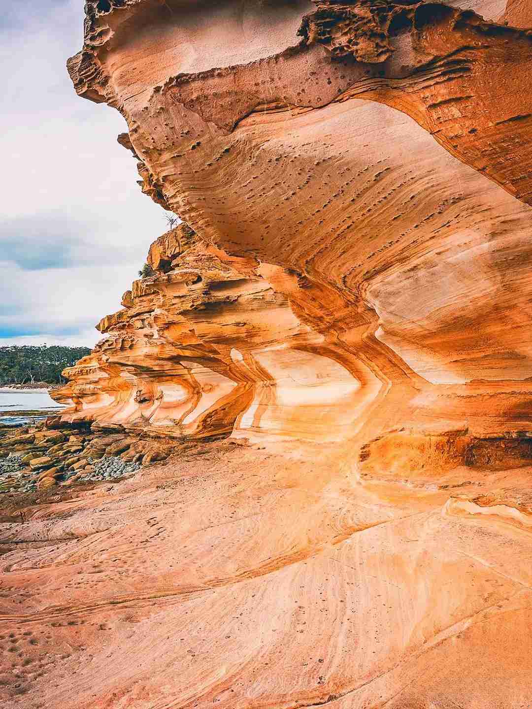 Tasmania Classic 5 Days 4 Nights Tour with Aurora Viewing Experience