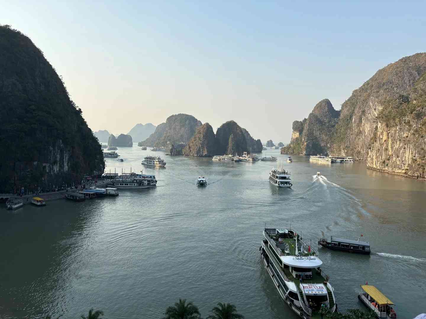 ベトナムのハロン湾を地元のように体験する究極のガイド 🇻🇳
