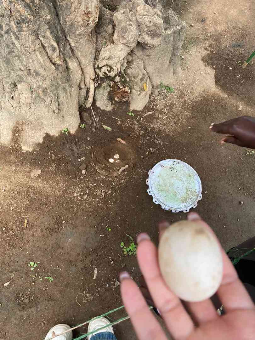 Top 10 Must-Visit Attractions in Arusha: Don't Miss These Hidden Gems!