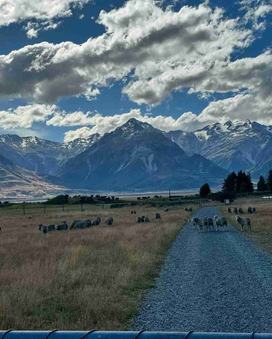 Two Friends Share Their 13K Group Tour Experience in New Zealand: A Must-Read Travel Story