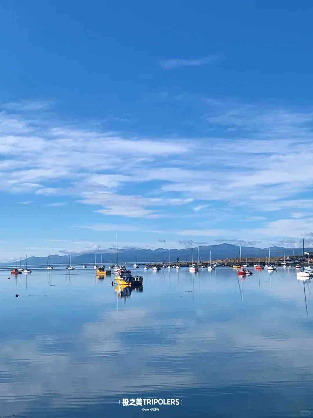 Guia Definitivo: Aproveite o Caranguejo Real em Ushuaia Antes de sua Aventura na Antártica