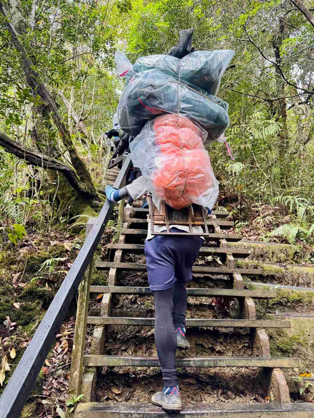 Ultimate Guide to Climbing Mount Kinabalu in Sabah: Gear & Tips 🇲🇾