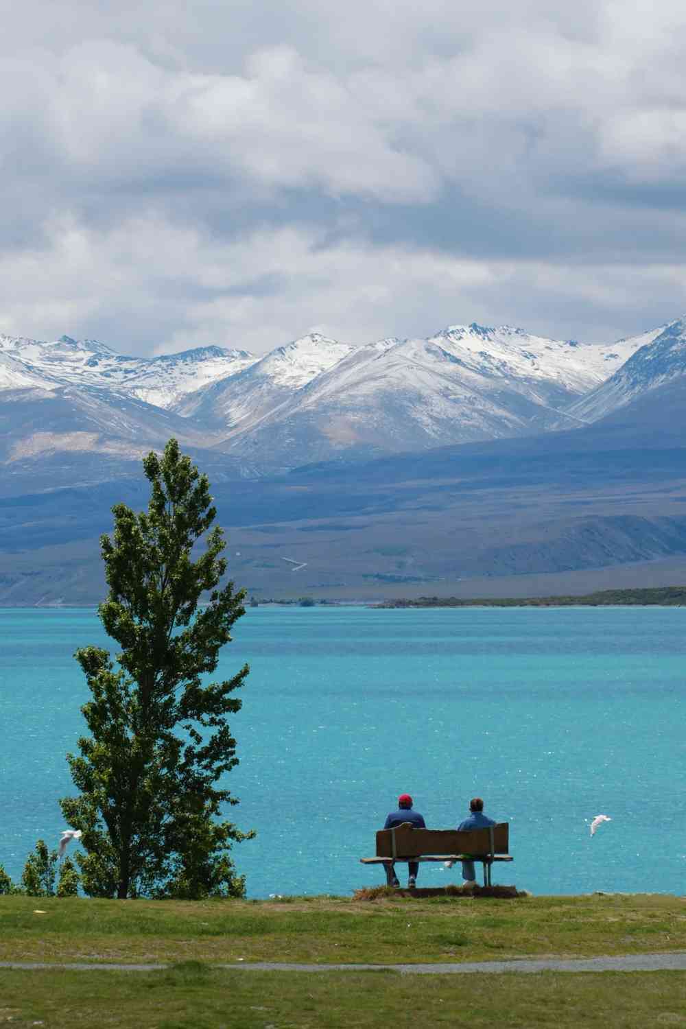Ultimate Guide to Tekapo: Stargazing and Hidden Gems You Can't Miss!