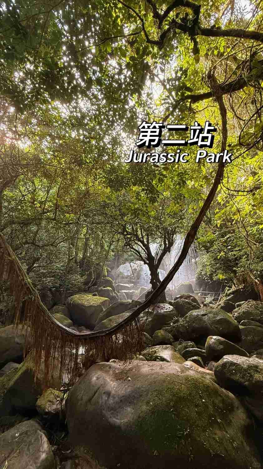 Ultimate Kuching Jurassic Hiking Guide: Explore Hidden Trails & Copy My Tips 😏