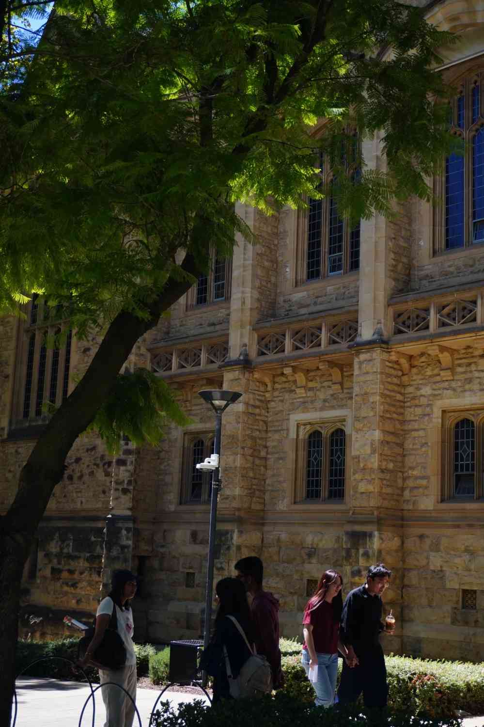 University of Adelaide Returns to Campus: Student Life and Safety Measures Explained