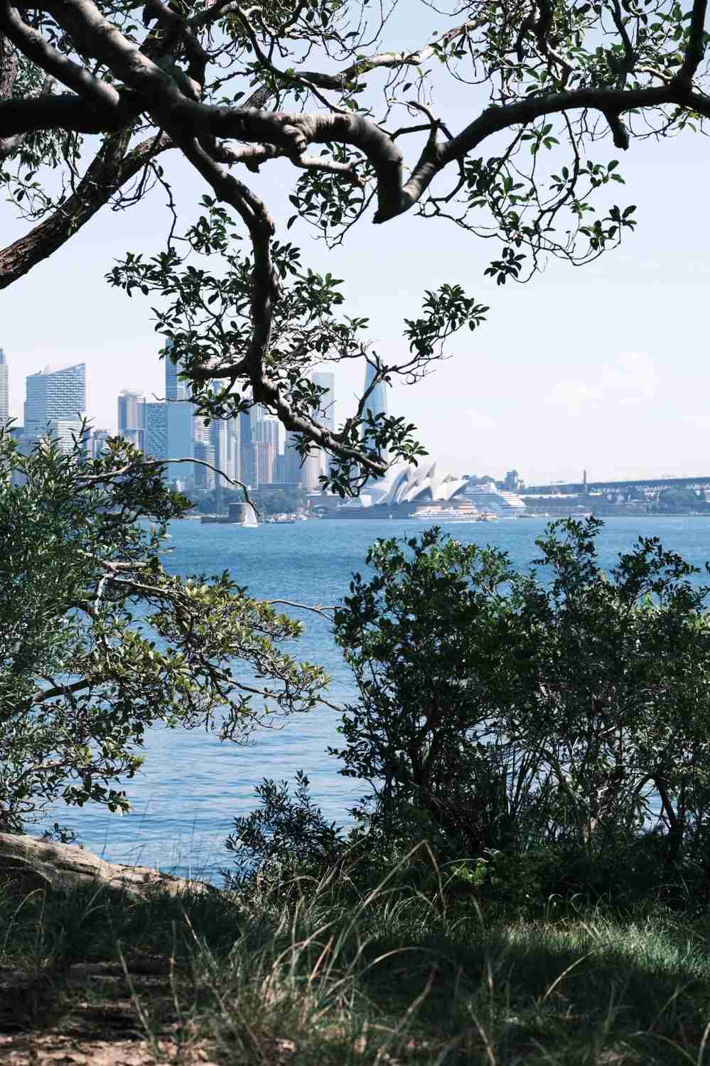 Weeks in Sydney, 🇦🇺: My Honest Impressions and Travel Tips