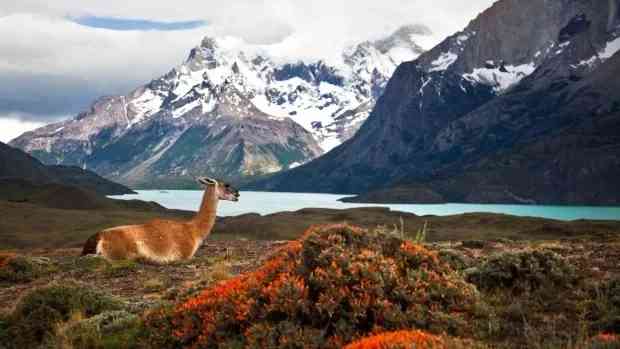Was ist die beste Selbstführungsroute für preiswerten Reisen in Chile?