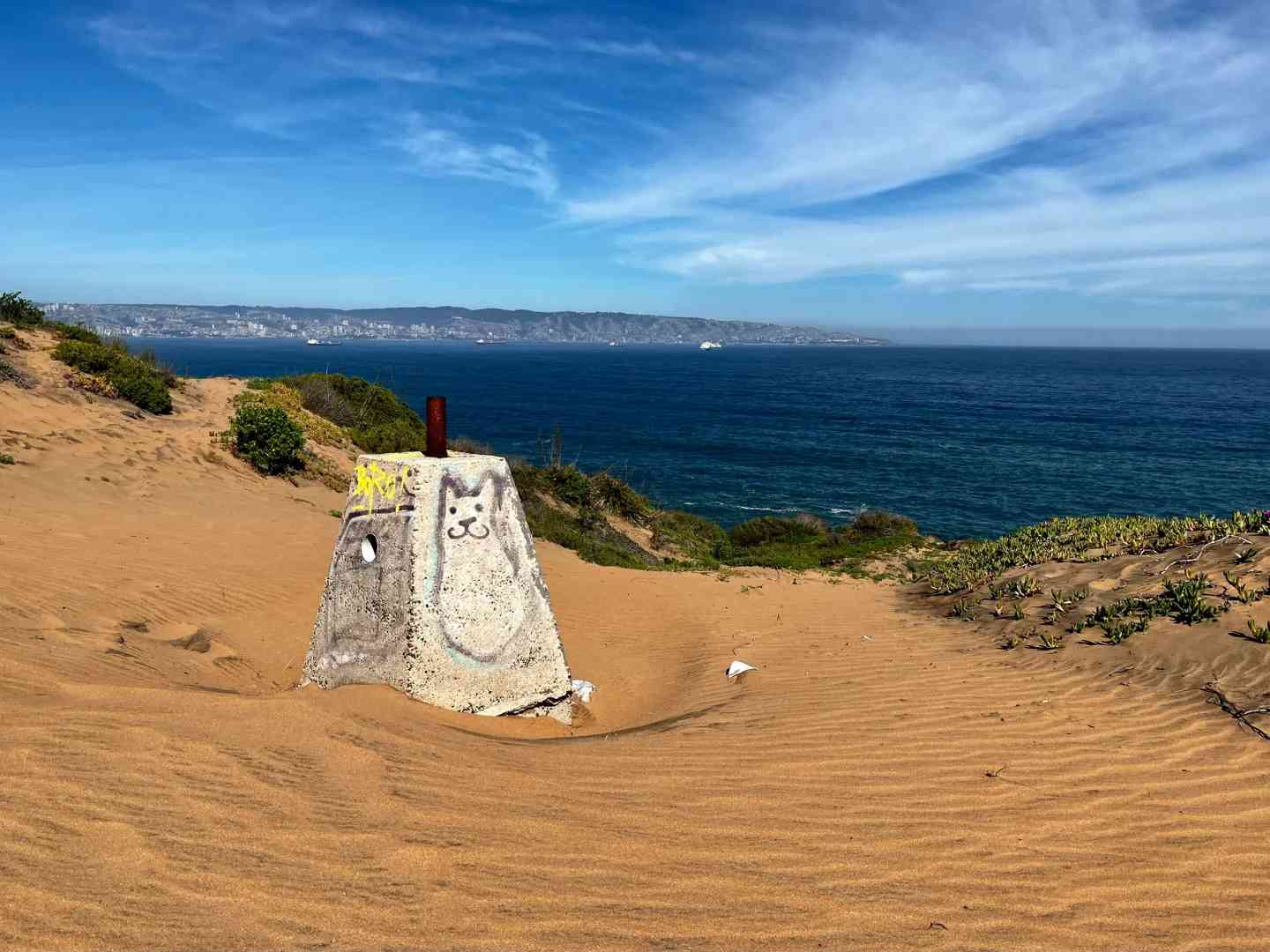 Where to Find the Best Budget-Friendly Activities in Viña del Mar This Summer?
