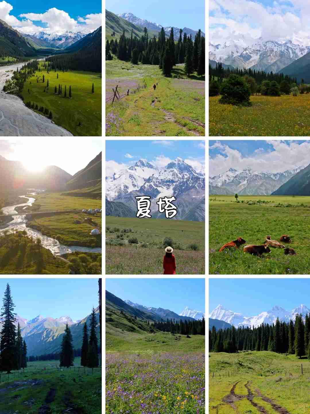 Where to Find the Most Beautiful Grasslands in Xinjiang for a Summer Trip?