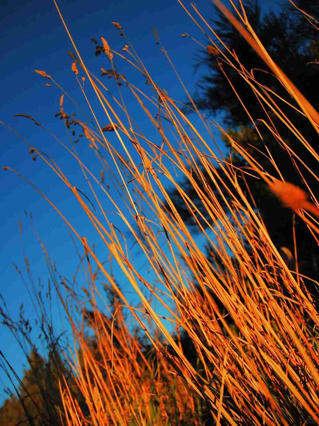 Where to find the best budget-friendly activities in Bariloche, 