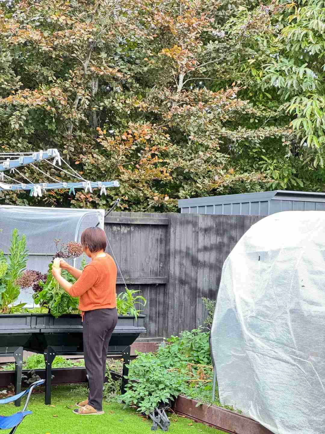 Why My Mom Swears She'll Never Visit New Zealand Again: A Travel Cautionary Tale