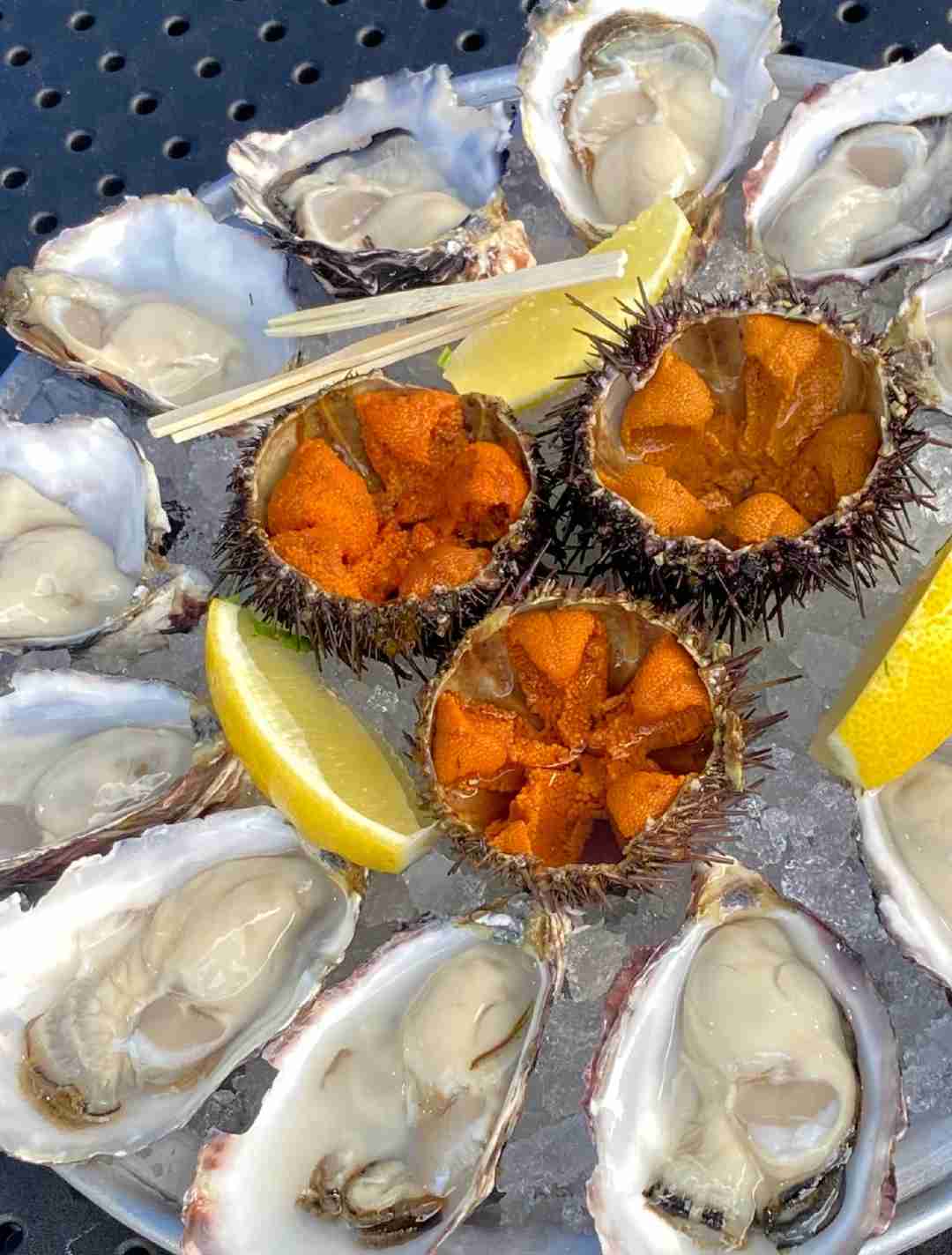 🇦🇺 Melbourne Seafood Buffet: All-You-Can-Eat Sea Urchin and More!