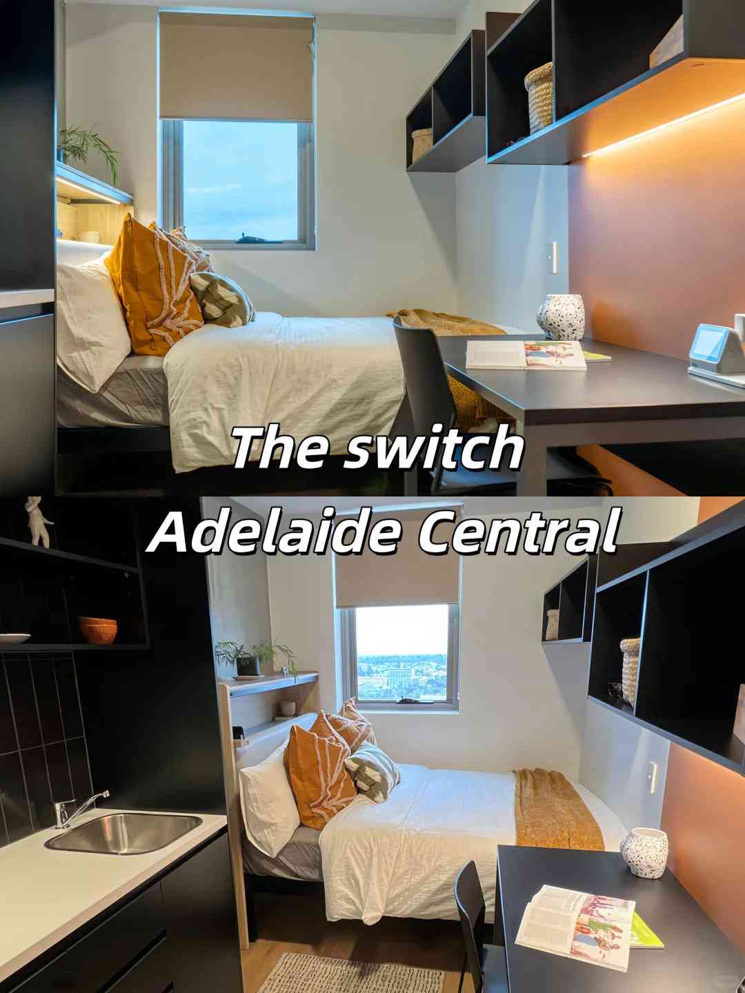 🇦🇺Adelaide Student Living: In-Depth Review of Top 4 Student Apartments