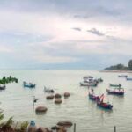 🌟【Penang Hidden Gem: Cat Beach Sanctuary for Ultimate Relaxation and Healing】