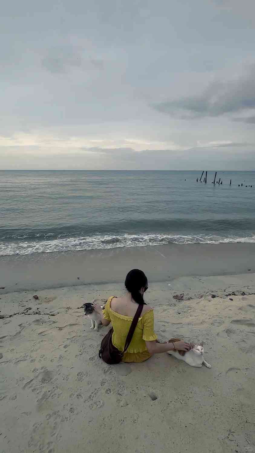 🌟【Penang Hidden Gem: Cat Beach Sanctuary for Ultimate Relaxation and Healing】